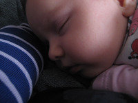 IMG 9782
