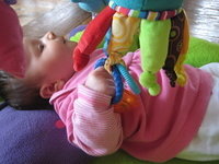 IMG 9881