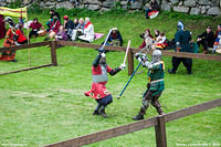 Hovdala national joust