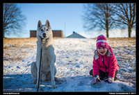 Nature, animals & city