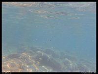 DSCN3324