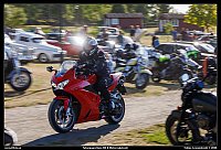 098A6519