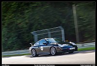 098A4119